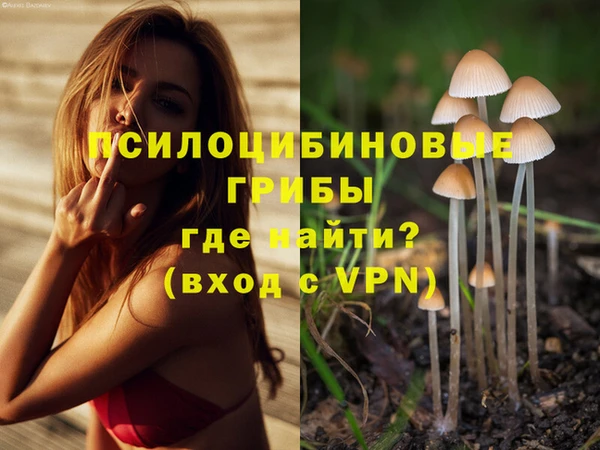 крисы Белоозёрский