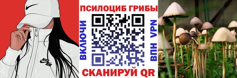 купить наркоту omg маркетплейс Псилоцибиновые грибы Psilocybe Верещагино